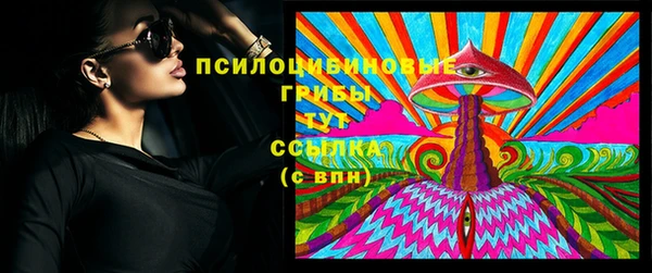 mdpv Белокуриха