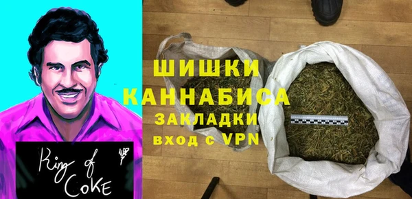 прущие грибы Зеленокумск