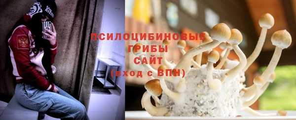 mdpv Белокуриха