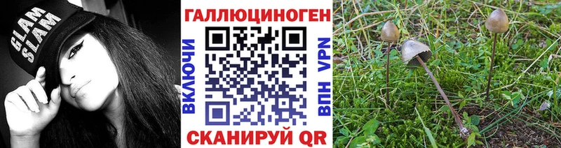 blacksprut сайт  Володарск  Псилоцибиновые грибы мухоморы 